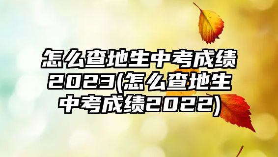 怎么查地生中考成績2023(怎么查地生中考成績2022)