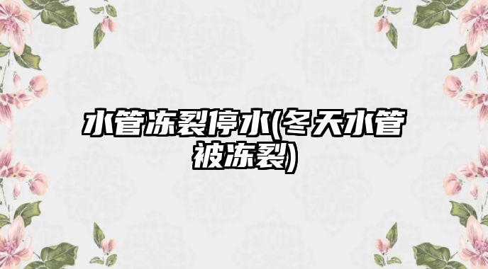 水管凍裂停水(冬天水管被凍裂)