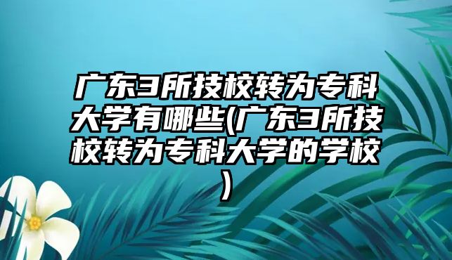 廣東3所技校轉(zhuǎn)為專科大學有哪些(廣東3所技校轉(zhuǎn)為專科大學的學校)