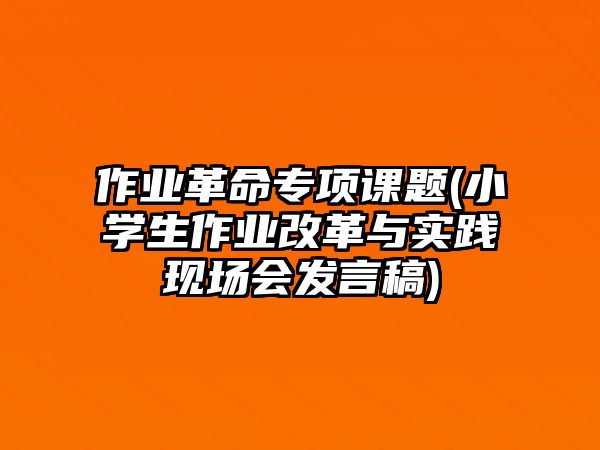 作業(yè)革命專項課題(小學(xué)生作業(yè)改革與實踐現(xiàn)場會發(fā)言稿)