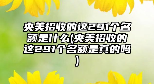 央美招收的這291個(gè)名額是什么(央美招收的這291個(gè)名額是真的嗎)