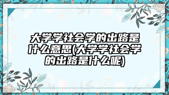 大學(xué)學(xué)社會學(xué)的出路是什么意思(大學(xué)學(xué)社會學(xué)的出路是什么呢)