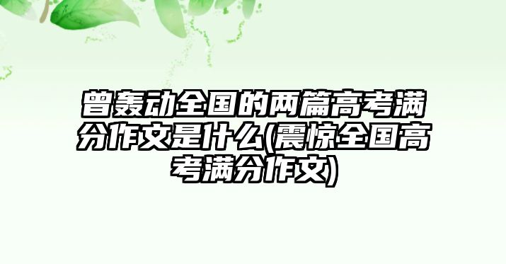 曾轟動全國的兩篇高考滿分作文是什么(震驚全國高考滿分作文)