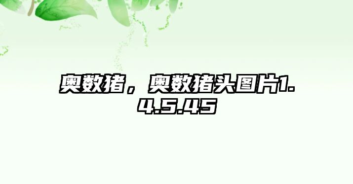 奧數(shù)豬，奧數(shù)豬頭圖片1.4.5.45