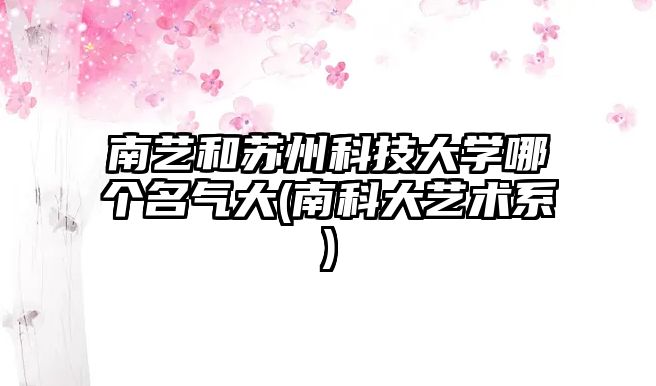 南藝和蘇州科技大學(xué)哪個(gè)名氣大(南科大藝術(shù)系)