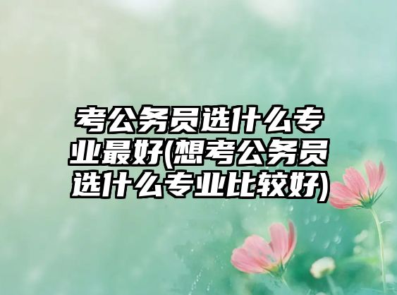 考公務(wù)員選什么專業(yè)最好(想考公務(wù)員選什么專業(yè)比較好)