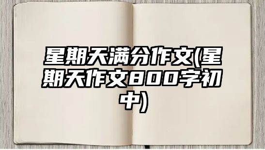 星期天滿分作文(星期天作文800字初中)