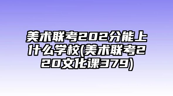 美術(shù)聯(lián)考202分能上什么學(xué)校(美術(shù)聯(lián)考220文化課379)