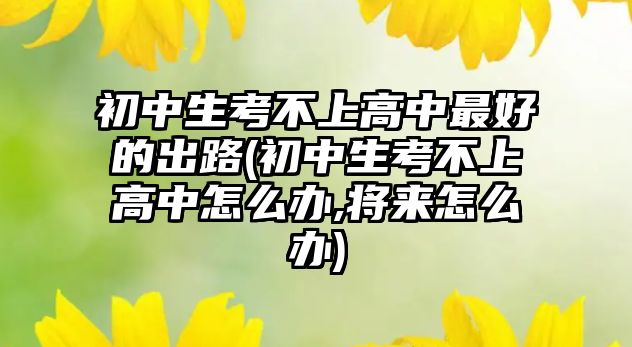 初中生考不上高中最好的出路(初中生考不上高中怎么辦,將來怎么辦)