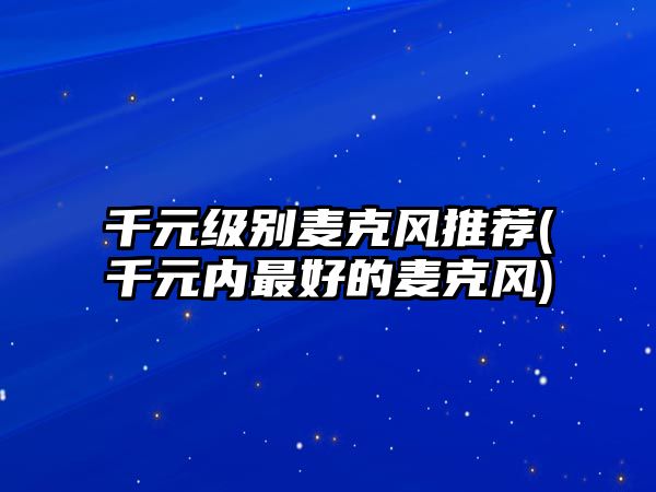 千元級別麥克風(fēng)推薦(千元內(nèi)最好的麥克風(fēng))
