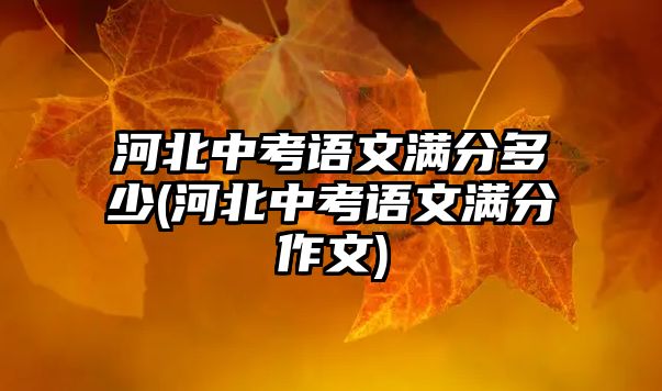 河北中考語文滿分多少(河北中考語文滿分作文)