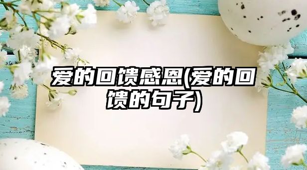 愛(ài)的回饋感恩(愛(ài)的回饋的句子)