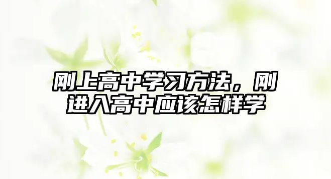 剛上高中學習方法,剛進入高中應(yīng)該怎樣學