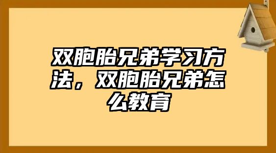 雙胞胎兄弟學(xué)習(xí)方法，雙胞胎兄弟怎么教育