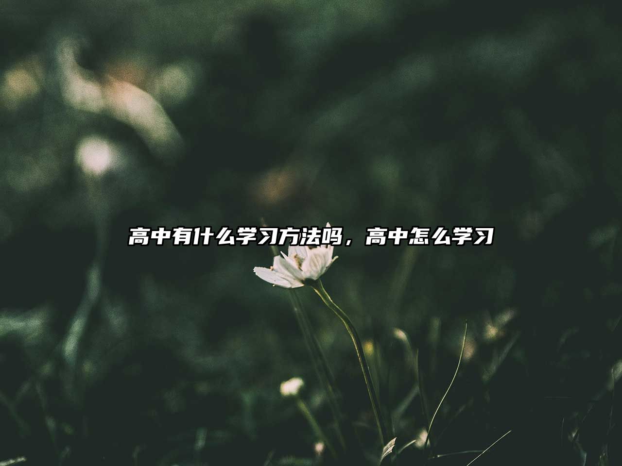 高中有什么學(xué)習(xí)方法嗎，高中怎么學(xué)習(xí)