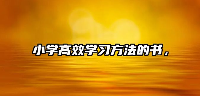 小學高效學習方法的書，